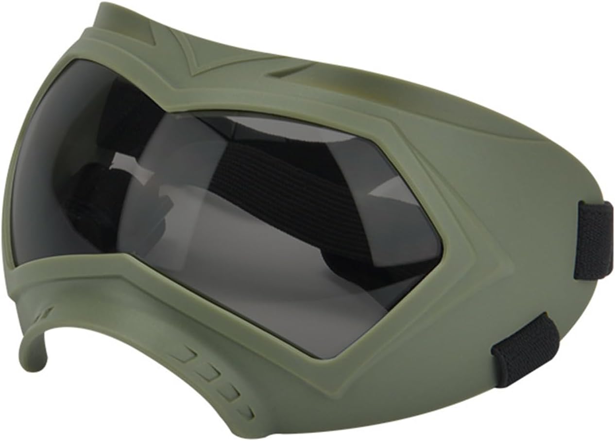 waterpoof dog visor